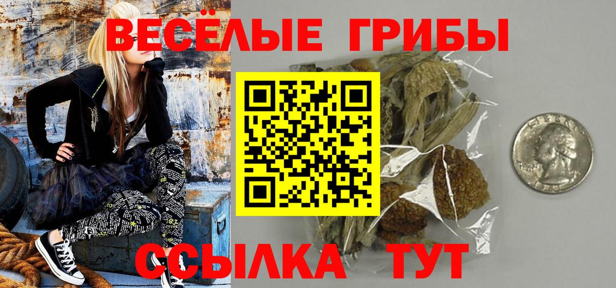 Галлюциногенные грибы GOLDEN TEACHER  Вход с VPN  Санкт-Петербург 